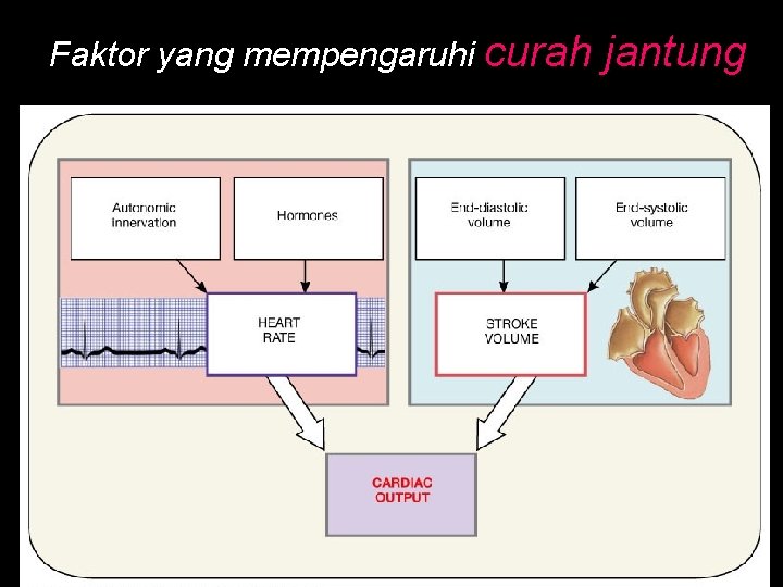 Faktor yang mempengaruhi curah jantung Figure 20. 20 