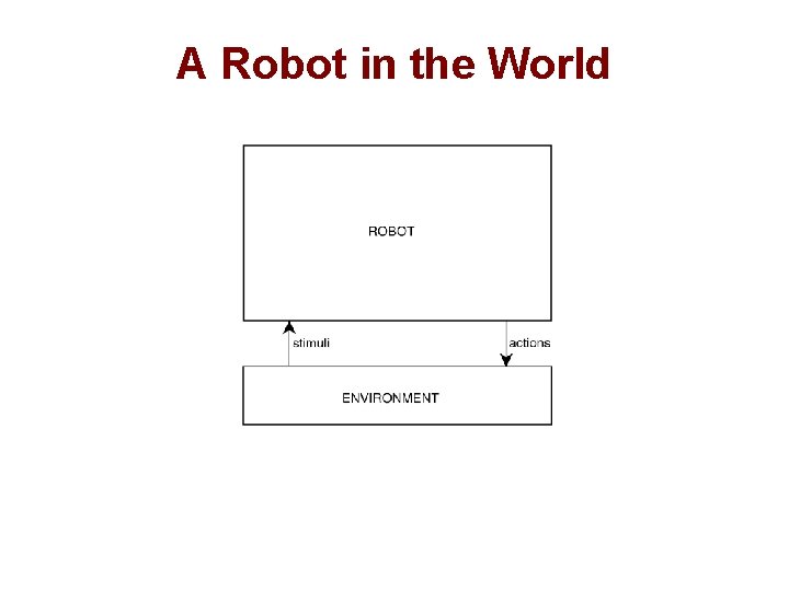 A Robot in the World 