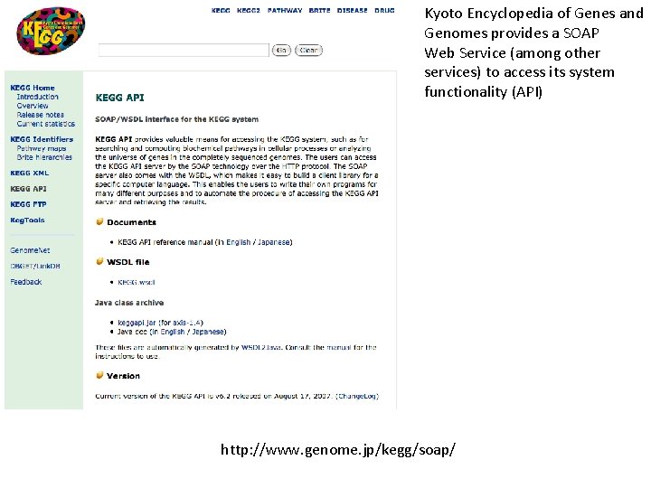 KEGG Kyoto Encyclopedia of Genes and Genomes provides a SOAP Web Service (among other