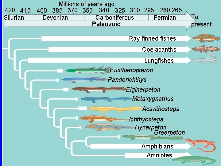 420 415 Silurian Millions of years ago 400 385 370 355 340 325 310