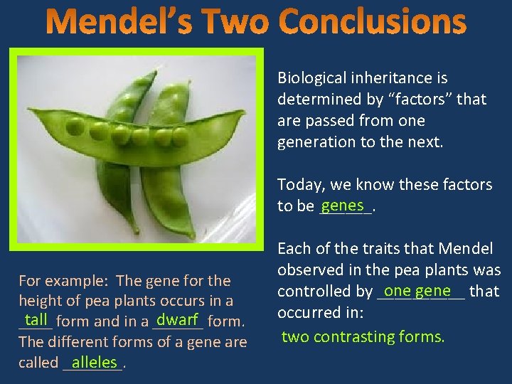 Biological inheritance is determined by “factors” that are passed from one generation to the