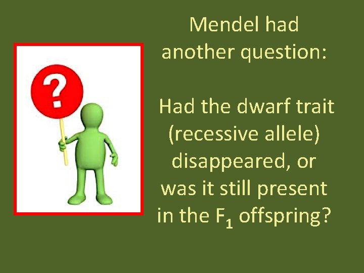 Mendel had another question: Had the dwarf trait (recessive allele) disappeared, or was it