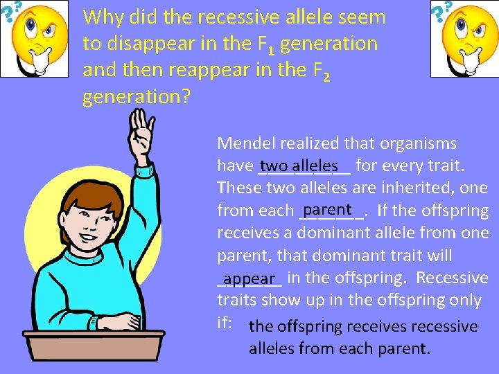 Why did the recessive allele seem to disappear in the F 1 generation and