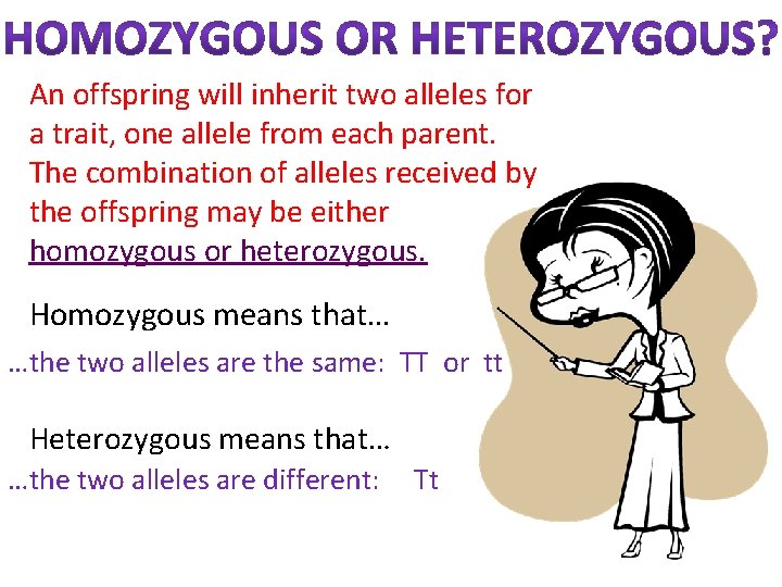 An offspring will inherit two alleles for a trait, one allele from each parent.