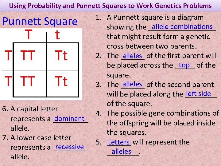 Using Probability and Punnett Squares to Work Genetics Problems 1. A Punnett square is
