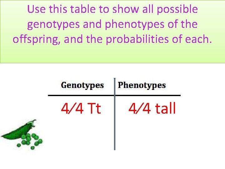 Use this table to show all possible genotypes and phenotypes of the offspring, and