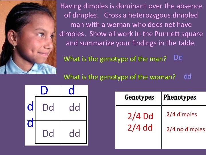 Having dimples is dominant over the absence of dimples. Cross a heterozygous dimpled man