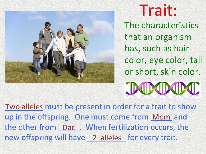 Trait: The characteristics that an organism has, such as hair color, eye color, tall