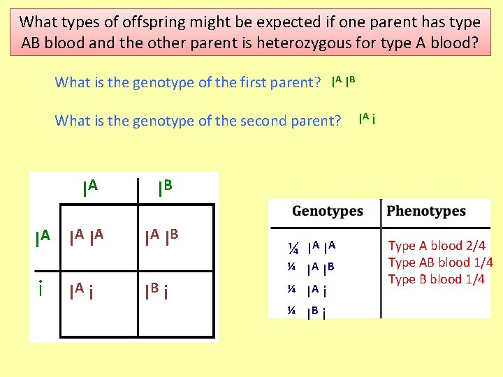 What types of offspring might be expected if one parent has type AB blood