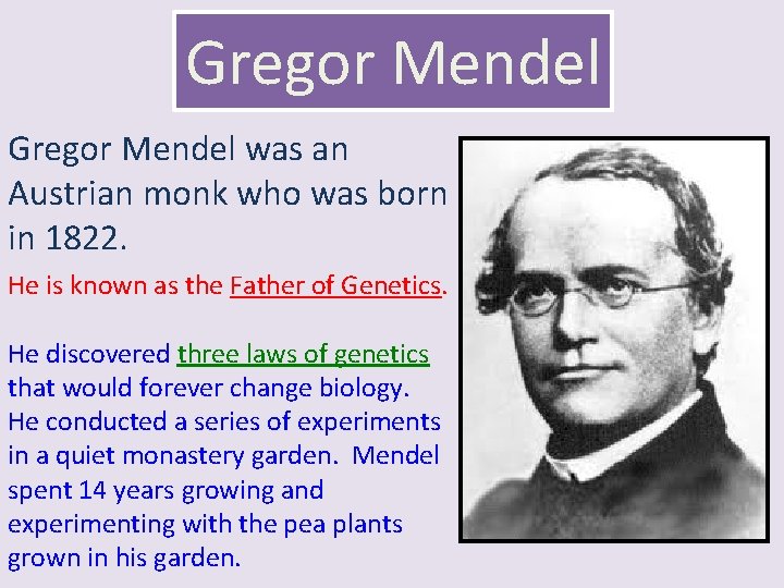 Gregor Mendel was an Austrian monk who was born in 1822. He is known