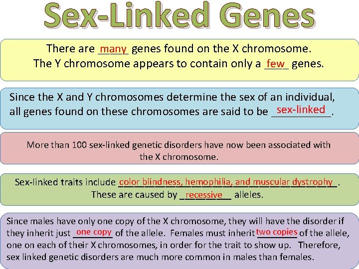 Sex-Linked Genes There are _____ genes found on the X chromosome. many The Y