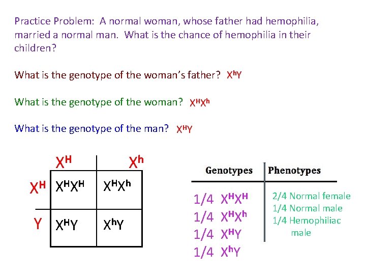 Practice Problem: A normal woman, whose father had hemophilia, married a normal man. What