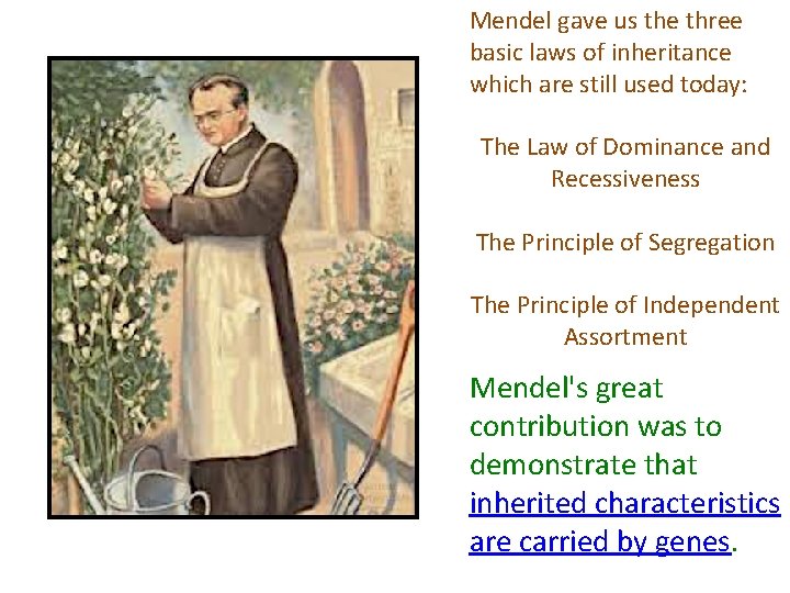 Mendel gave us the three basic laws of inheritance which are still used today: