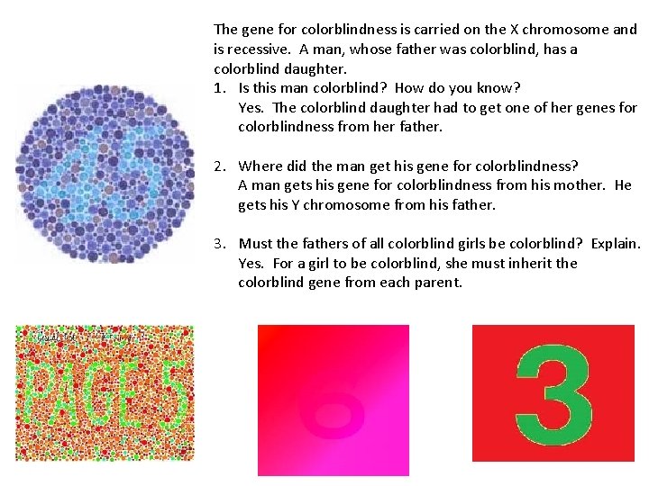 The gene for colorblindness is carried on the X chromosome and is recessive. A