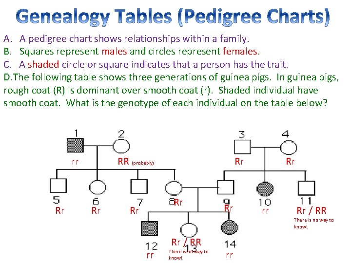A. A pedigree chart shows relationships within a family. B. Squares represent males and