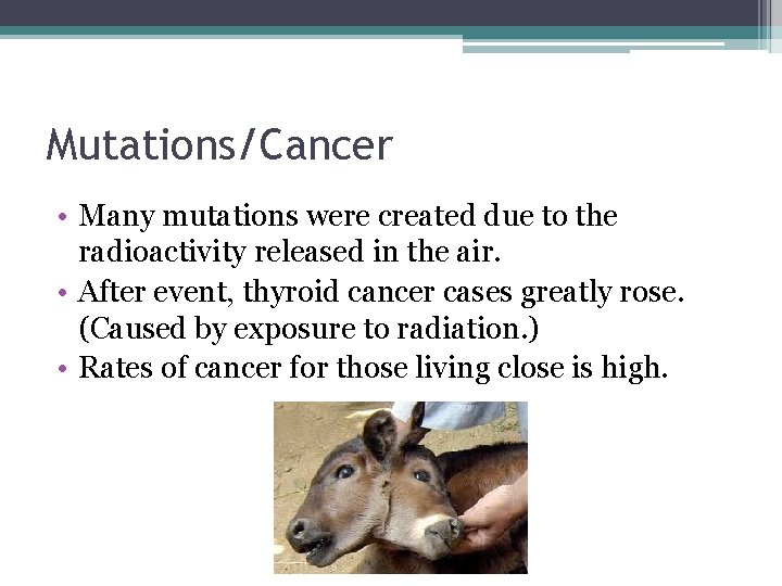 Mutations/Cancer • Many mutations were created due to the radioactivity released in the air.