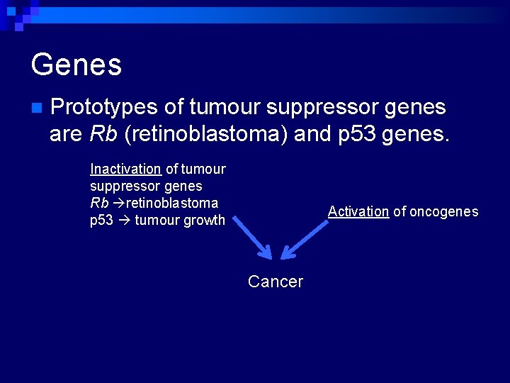 Genes n Prototypes of tumour suppressor genes are Rb (retinoblastoma) and p 53 genes.