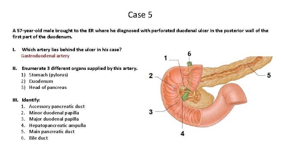 Case 5 A 57 -year-old male brought to the ER where he diagnosed with