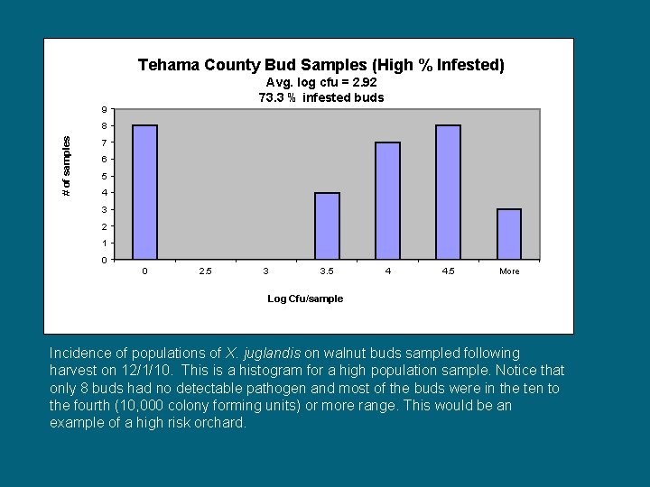 Tehama County Bud Samples (High % Infested) Avg. log cfu = 2. 92 73.