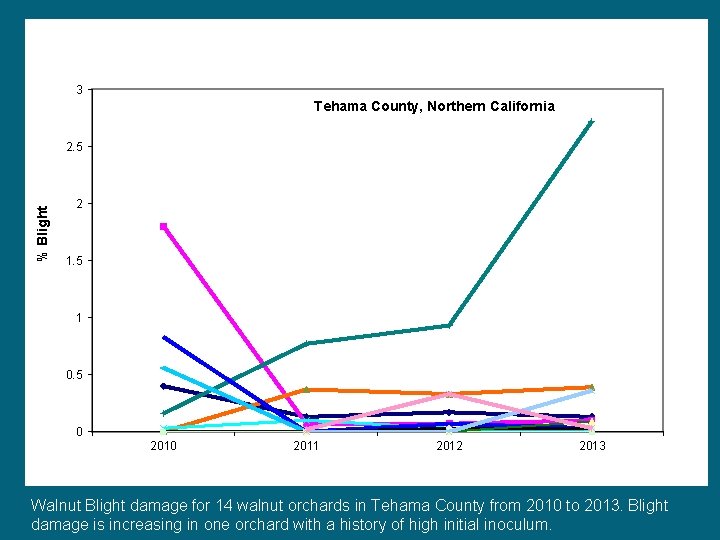 3 Tehama County, Northern California % Blight 2. 5 2 1. 5 1 0.