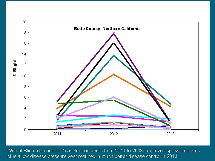 20 Butte County, Northern California 18 16 % Blight 14 12 10 8 6