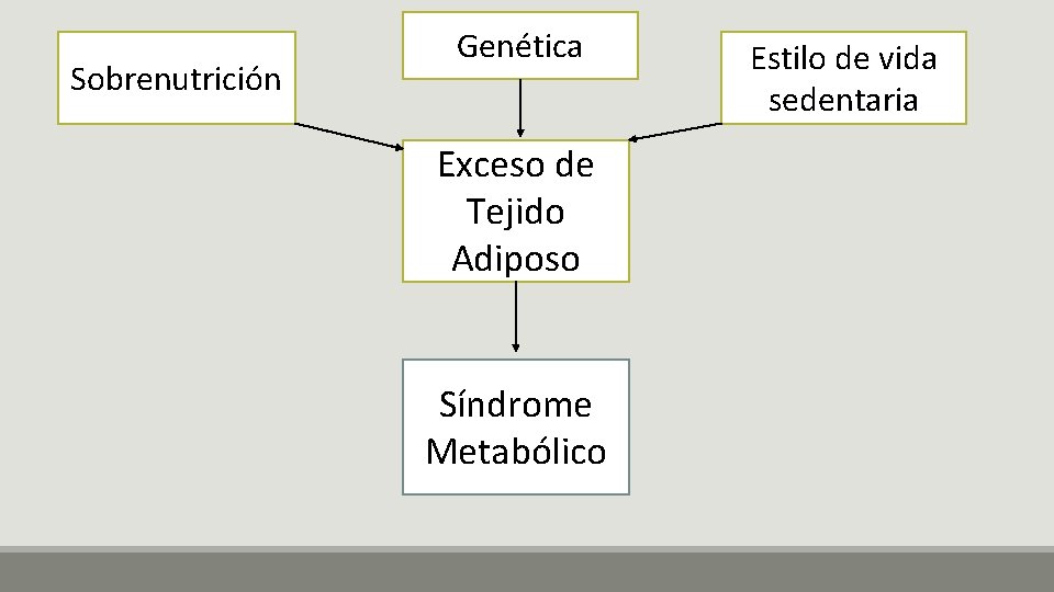 Sobrenutrición Genética Exceso de Tejido Adiposo Síndrome Metabólico Estilo de vida sedentaria 