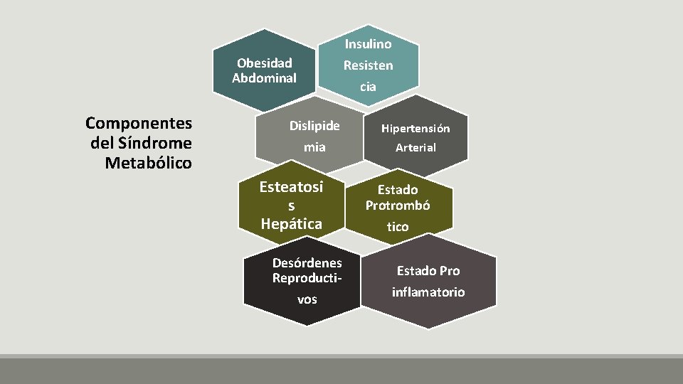 Insulino Obesidad Abdominal Componentes del Síndrome Metabólico Resisten cia Dislipide mia Esteatosi s Hepática