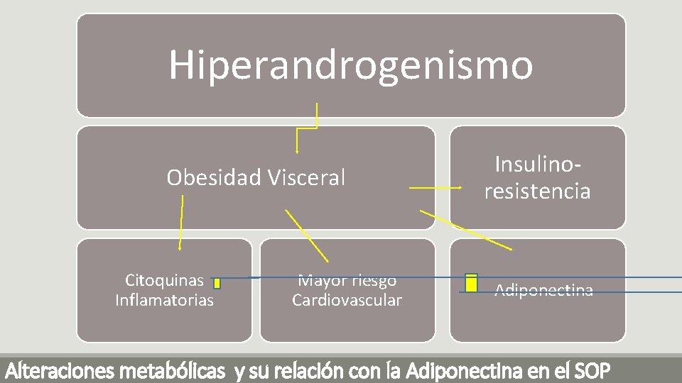 Hiperandrogenismo Obesidad Visceral Citoquinas Inflamatorias Mayor riesgo Cardiovascular Insulinoresistencia Adiponectina Alteraciones metabólicas y su