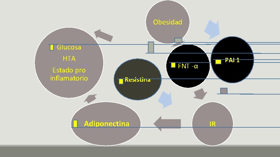 Obesidad Glucosa HTA Estado pro inflamatorio PAI 1 FNT -α Resistina Adiponectina IR 