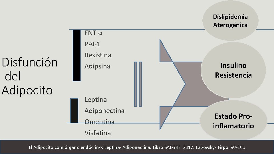 Disfunción del Adipocito FNT α PAI-1 Resistina Adipsina Leptina Adiponectina Omentina Visfatina Dislipidemia Aterogénica