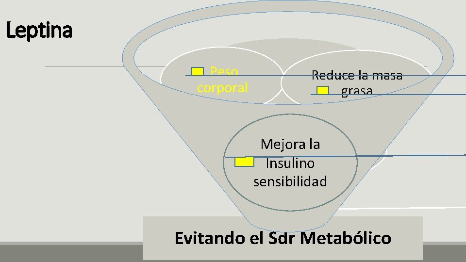 Leptina Peso corporal Reduce la masa grasa Mejora la Insulino Mejora la Sensibilidad Insulino