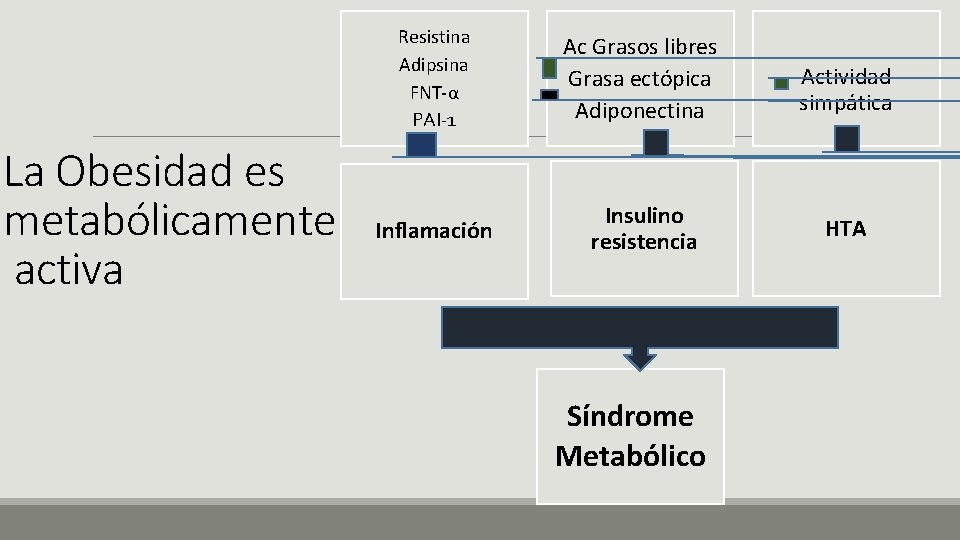 La Obesidad es metabólicamente activa Resistina Adipsina FNT-α PAI-1 Ac Grasos libres Grasa ectópica