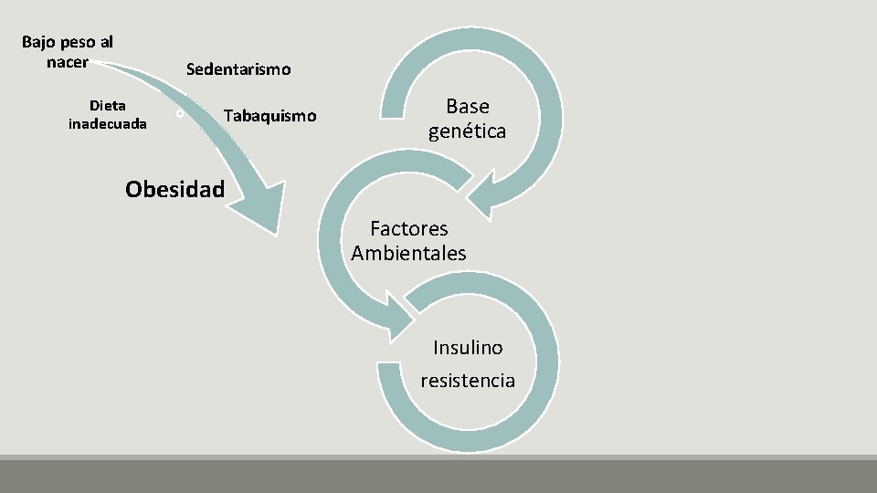 Bajo peso al nacer Sedentarismo Dieta inadecuada Tabaquismo Base genética Obesidad Factores Ambientales Insulino