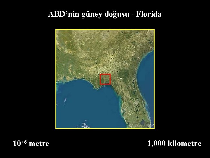 ABD’nin güney doğusu - Florida 10+6 metre 1, 000 kilometre 