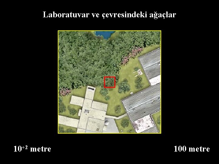 Laboratuvar ve çevresindeki ağaçlar 10+2 metre 100 metre 