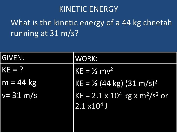 KINETIC ENERGY What is the kinetic energy of a 44 kg cheetah running at