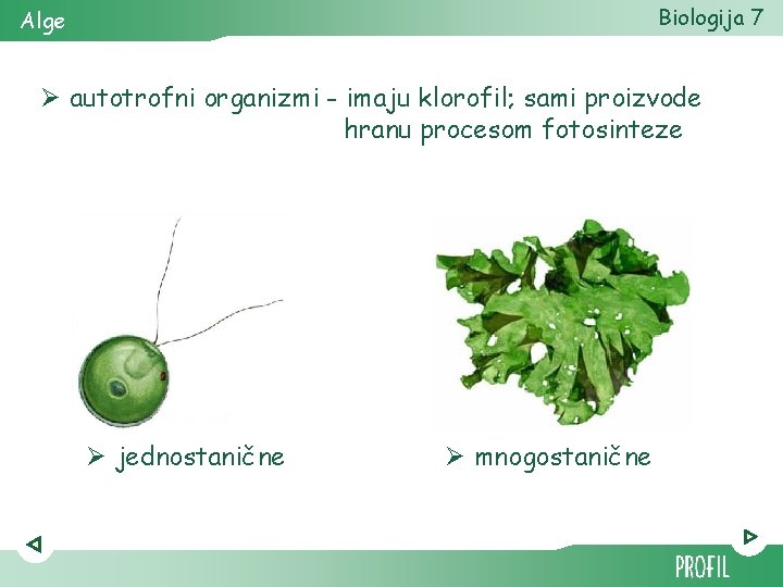 Biologija 7 Alge Ø autotrofni organizmi - imaju klorofil; sami proizvode hranu procesom fotosinteze