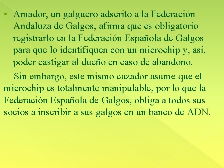 Amador, un galguero adscrito a la Federación Andaluza de Galgos, afirma que es obligatorio