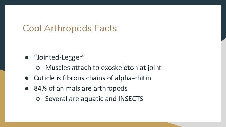 Cool Arthropods Facts ● “Jointed-Legger” ○ Muscles attach to exoskeleton at joint ● Cuticle
