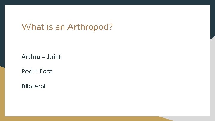 What is an Arthropod? Arthro = Joint Pod = Foot Bilateral 