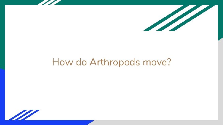 How do Arthropods move? 