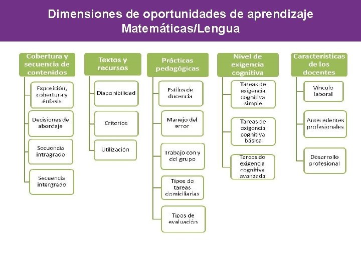 Dimensiones de oportunidades de aprendizaje Matemáticas/Lengua 