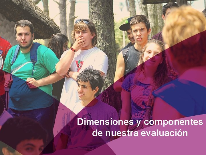 Dimensiones y componentes de nuestra evaluación 