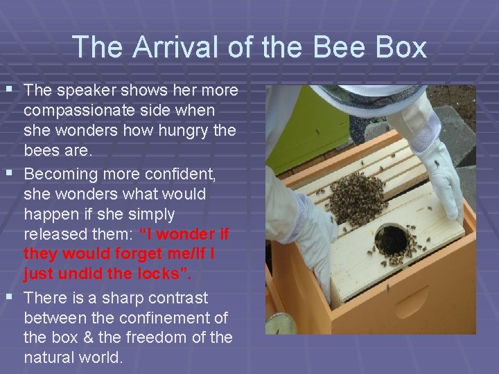 The Arrival of the Bee Box § The speaker shows her more compassionate side