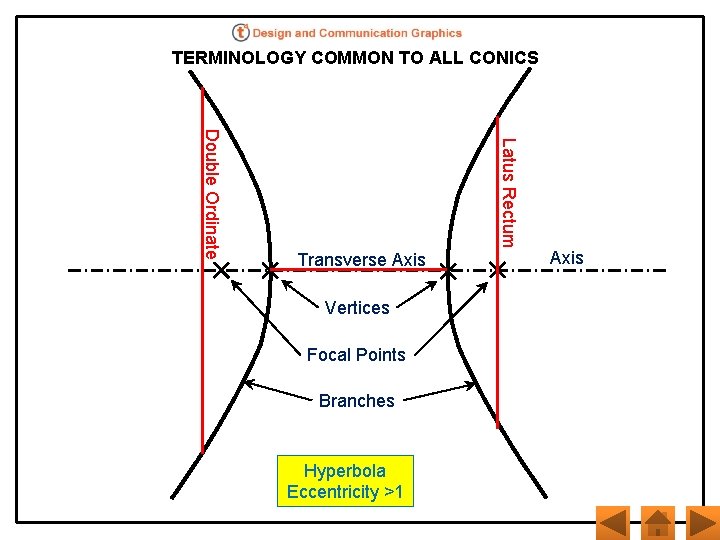 TERMINOLOGY COMMON TO ALL CONICS Latus Rectum Double Ordinate Transverse Axis Vertices Focal Points