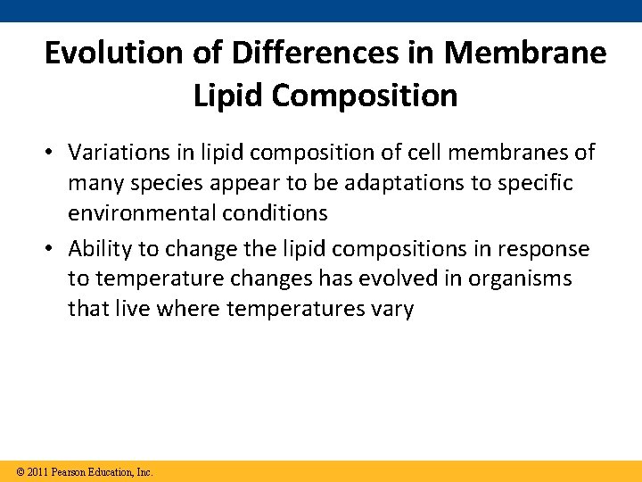 Membrane Structure and Function Overview Life at the