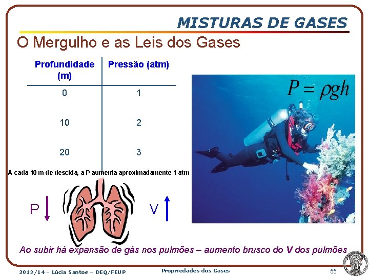 MISTURAS DE GASES O Mergulho e as Leis dos Gases Profundidade (m) Pressão (atm)