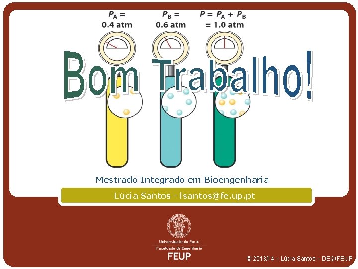 Mestrado Integrado em Bioengenharia Lúcia Santos - lsantos@fe. up. pt © 2013/14 – Lúcia