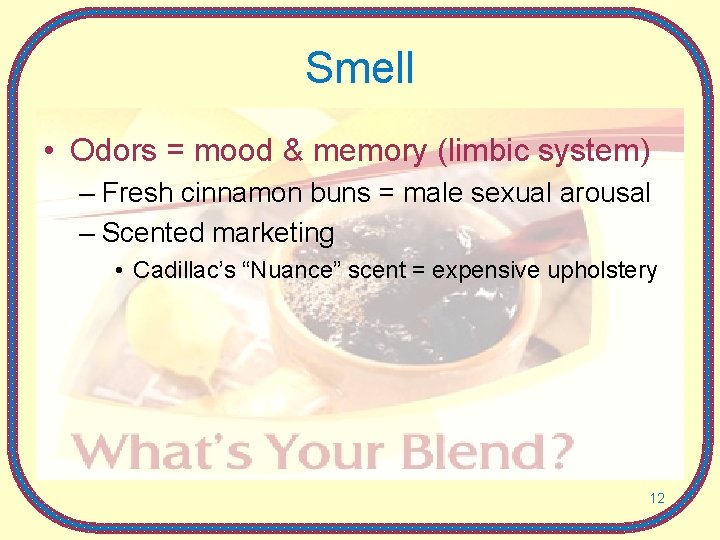 Smell • Odors = mood & memory (limbic system) – Fresh cinnamon buns =