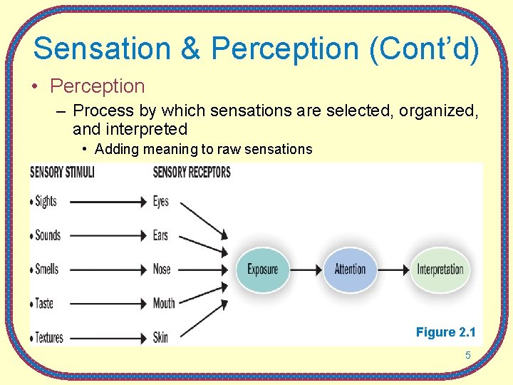 Sensation & Perception (Cont’d) • Perception – Process by which sensations are selected, organized,